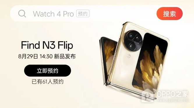 OPPO Find N3 Flip什么时候发布